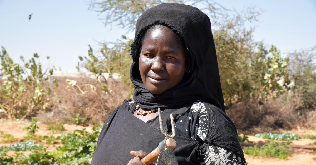 Refugees and locals in Mauritania exchange strategies for adapting to ...