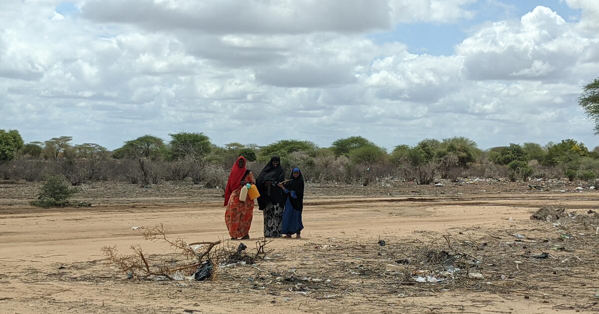 One Million People Displaced By Drought In Somalia | UNHCR