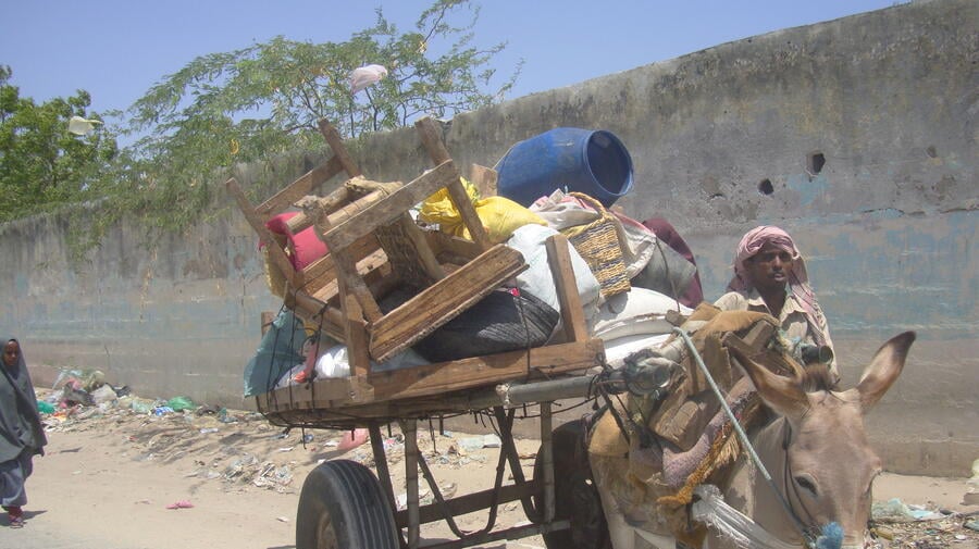 UNHCR Warns Governments Against Forced Returns To Somalia | UNHCR