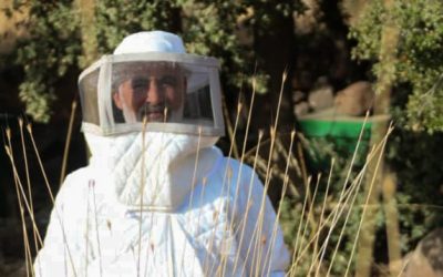 From displacement to success – this beekeeper is keeping his dream alive