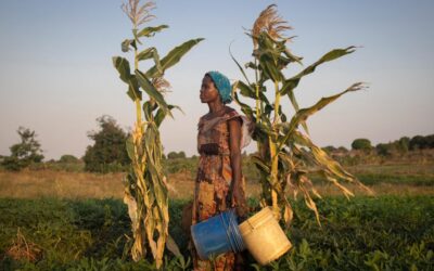 Displaced people join efforts to adapt to climate change in Mozambique