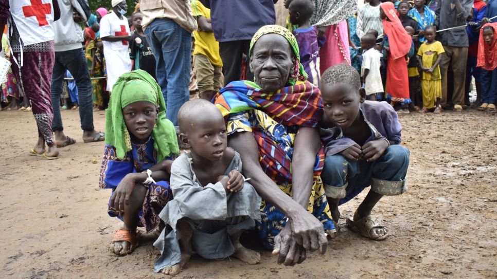 UNHCR - UNHCR seeks US$59.6 million for 100,000 displaced by violence in  Cameroon's Far North region