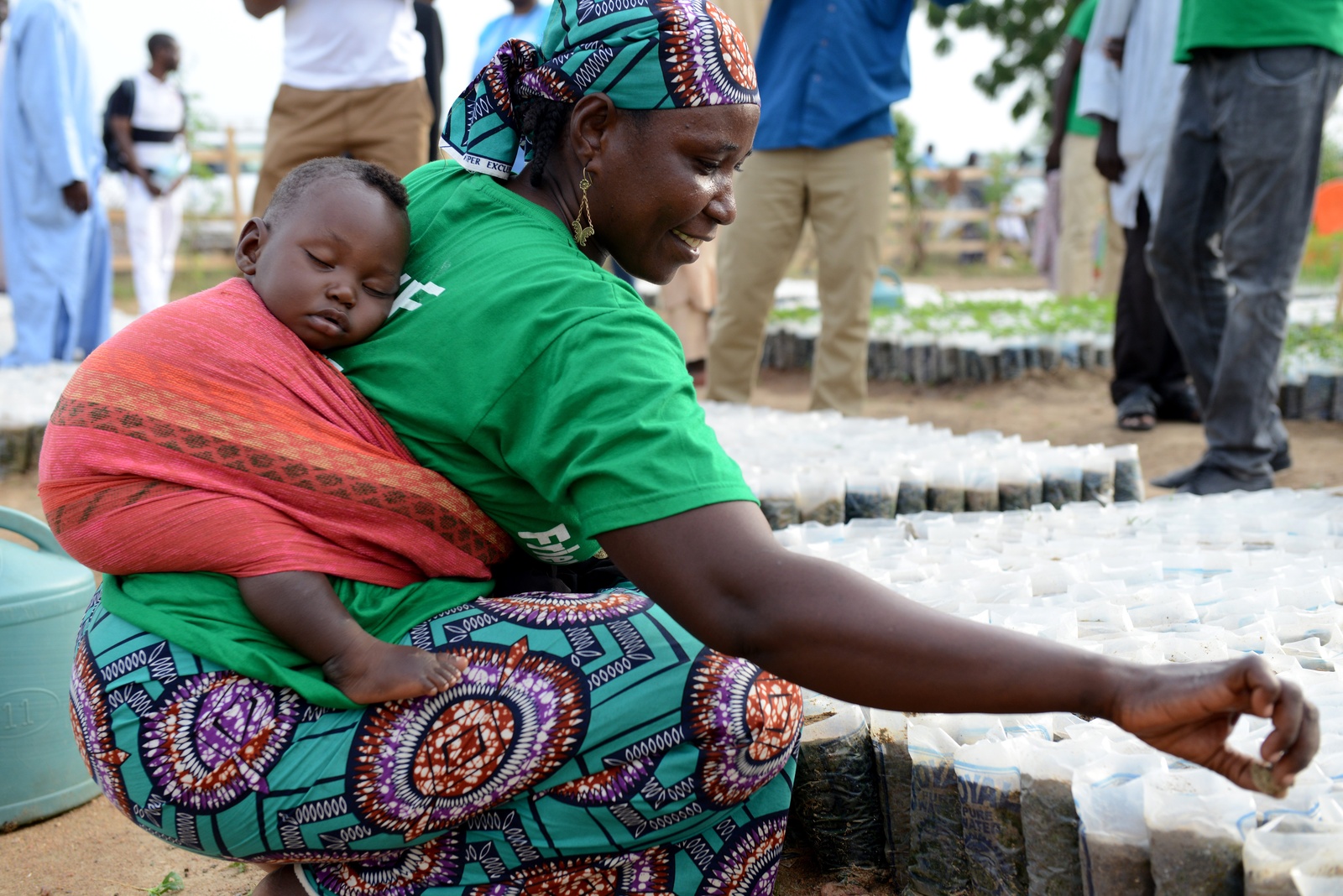 Cameroon. Refugees making Minawao green again