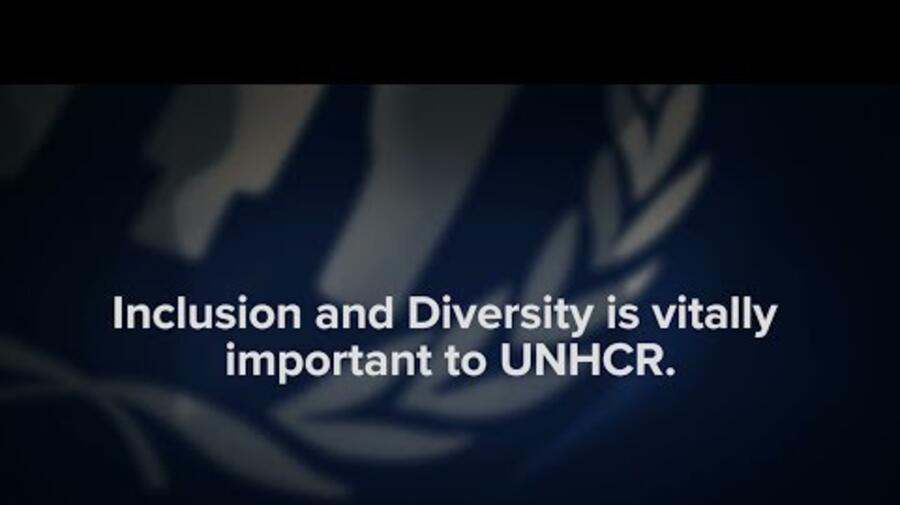 Diversity And Inclusion Unhcr Us 